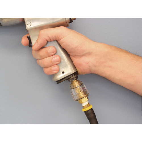 Lubricators - Standard Duty, 1/4" NPT, Max. 120 PSI, In Line Cam Industrial