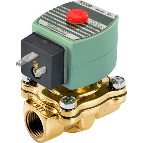 Solenoid Valve, 1/2" Pipe, 150 PSI Cam Industrial