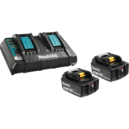 Li-Ion Battery & Dual-Port Charger Kit, 18 V, Lithium-Ion Cam Industrial