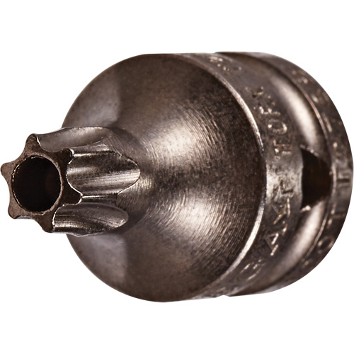 Embout &agrave; ins&eacute;rer, Torx inviolable, 8 x 3/4" lo, Prise 1/4" Cam Industrial