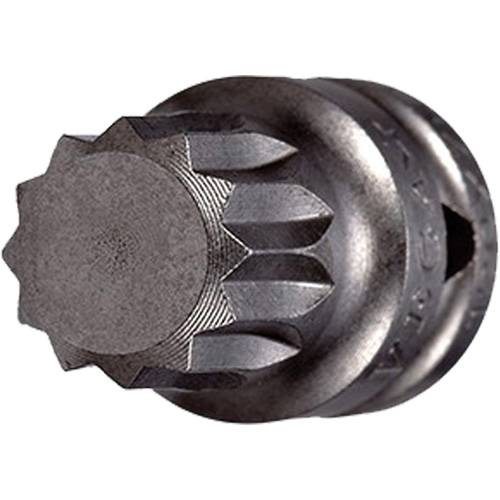 Embout &agrave; ins&eacute;rer, Triple carr&eacute;, 5 x 3/4" lo, Prise 1/4" Cam Industrial