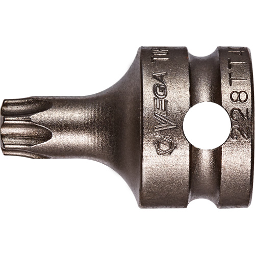 Embout &agrave; ins&eacute;rer, Torx inviolable, 25 x 1" lo, Prise 3/8" Cam Industrial