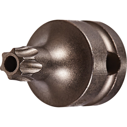 Embout &agrave; ins&eacute;rer, Torx inviolable, 25 x 1" lo, Prise 3/8" Cam Industrial