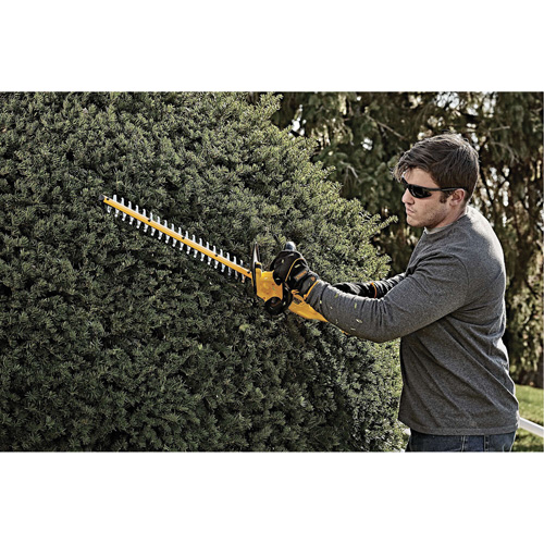 Taille-haie sans fil Max, 22", 20 V, &agrave; pile Cam Industrial