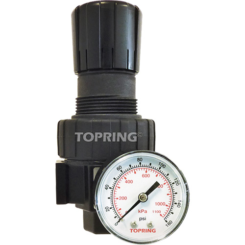 HiFlo2 Regulator, 1/2" NPT, 250 PSI Max. PSI, Standard Cam Industrial