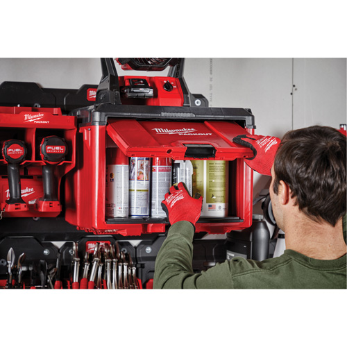 Armoire &agrave; outils Packout, 15" x 15" x 20", Noir/Rouge Cam Industrial