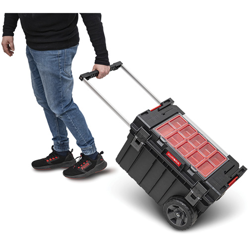 Coffre &agrave; outils roulant Arx, 23-4/5" x 16" x 15-3/5", Noir Cam Industrial