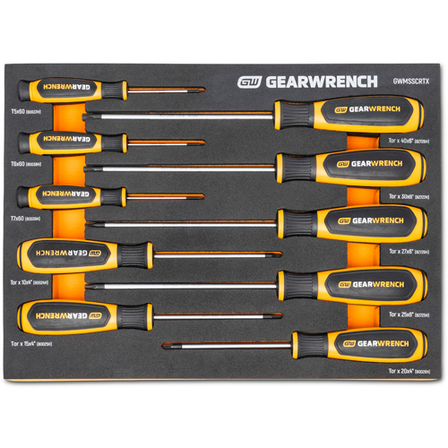 Jeu de tournevis bimat&eacute;riau Torx dans un plateau de rangement en mousse, 10 mcx Cam Industrial