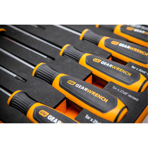 Jeu de tournevis bimat&eacute;riau Torx dans un plateau de rangement en mousse, 10 mcx Cam Industrial