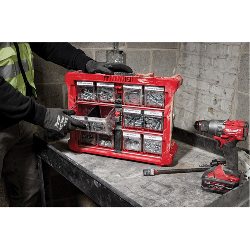 Organisateur PACKOUT &agrave; bac inclinable, 15-1/5" x 19-7/10" x 6-7/10", Noir/Rouge Cam Industrial