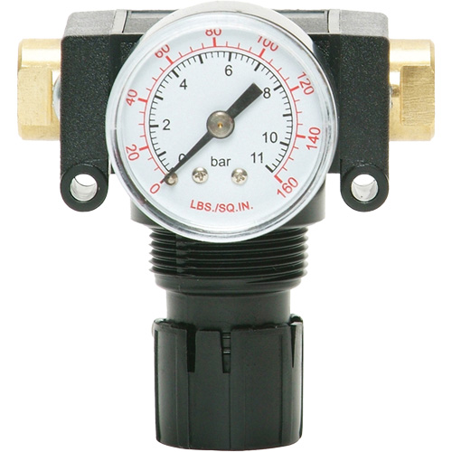 D&eacute;tendeur &agrave; piston en ac&eacute;tal MODULAIR 200, 1/4" NPT, PSI max. de 150 psi, Canalisation/Modulaire Cam Industrial