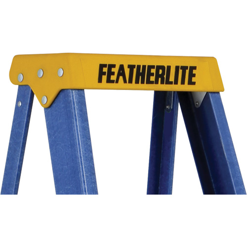 Escabeaux industriels (s&eacute;rie 6300), 4', Fibre de verre, Capacit&eacute; 250 lb, Type 1 Cam Industrial