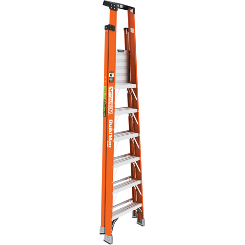 Escabeau avec plateforme Safespace, 6', Cap. De 300 lb Cam Industrial