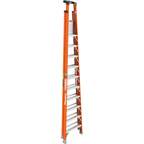 Safespace Platform Step Ladder, 10', 300 lbs. Cap. Cam Industrial