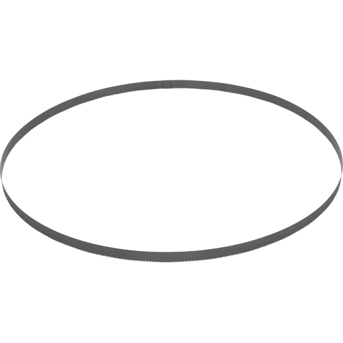 Lame de scie &agrave; ruban , Bim&eacute;tal, 44-7/8" lo x 1/2" la x &eacute;paisseur 0,020", 14 dents par pouce Cam Industrial