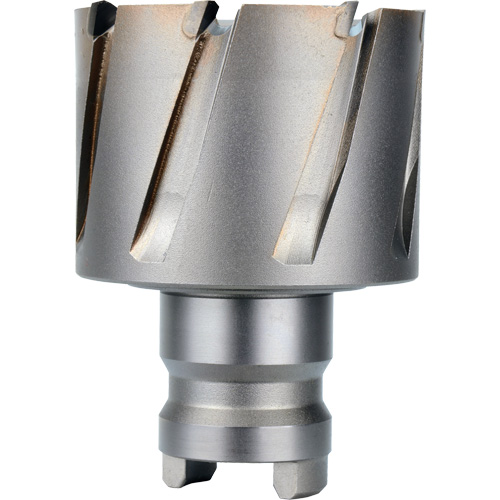 Quick Change Tang Drive Hawg&reg; Cutter, 2" Diameter, Steel, 1" Depth of Cut Cam Industrial