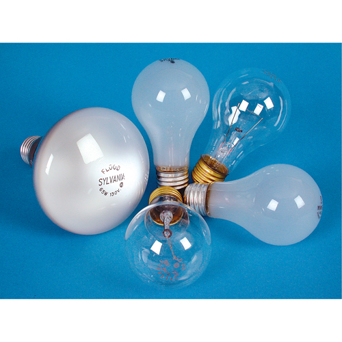 LAMPE INCANDESCENTE,25W,130V,GIVREE,2/PQT Cam Industrial