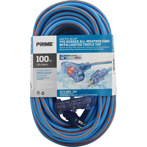 Cordons rallonges en caoutchouc TPE Arctic Blue, Toutes saisons, SJEOW, AWG 12/3, 15 A, 3 prise(s), 100' Cam Industrial