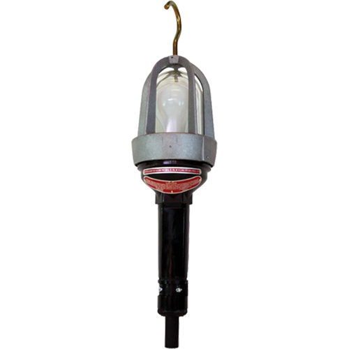 Baladeuses pour emplacements dangereux, DEL, 20 W, 2400 Lumens Cam Industrial