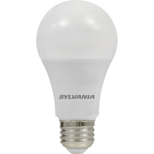 Ampoule DEL, A19, 8,5 W, 800 lumens, base Moyen Cam Industrial