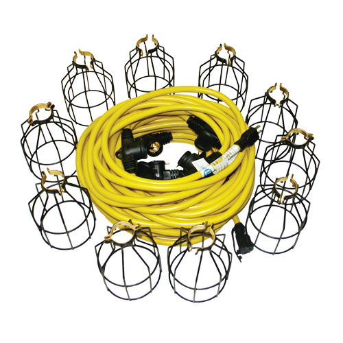 Guirlandes lumineuses &agrave; DEL, 10 Lumi&egrave;res, 100' lo, Boîtier en M&eacute;tal Cam Industrial