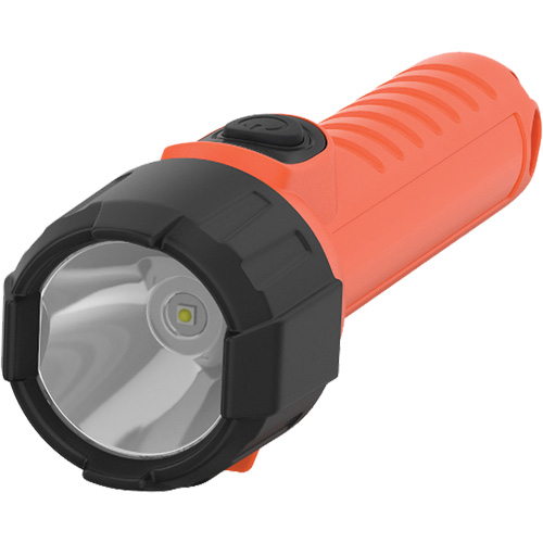 Lampe de poche portative Intrinsically Safe, DEL, 150 lumens, Piles D Cam Industrial