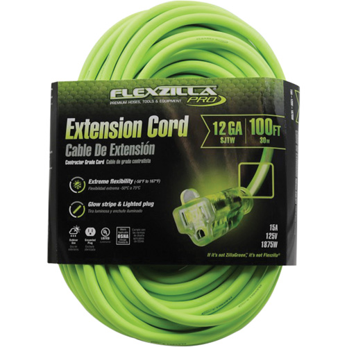 Cordon rallonge industriel Flexzilla Pro, Toutes saisons, SJTW, AWG 12/3, 15 A, 100' Cam Industrial