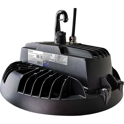 Luminaire pour tr&egrave;s grande hauteur de s&eacute;rie HBX2, DEL, 277 - 480 V, 300 W Cam Industrial