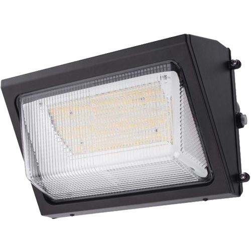 Wall Pack Light Fixture, LED, 120 -347 V, 80 W Cam Industrial