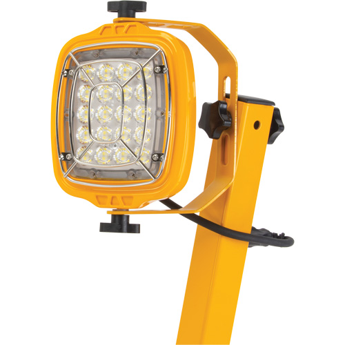 Dock Light, 40" Arm, 50 W, LED Lamp, Metal Cam Industrial