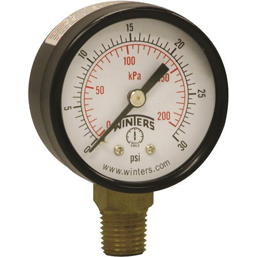 Economy Pressure Gauge, 2" , 0 - 30 psi, Bottom Mount, Analogue Cam Industrial