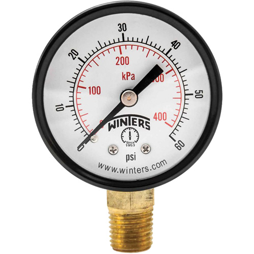 Economy Pressure Gauge, 2" , 0 - 60 psi, Bottom Mount, Analogue Cam Industrial