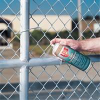 Inhibiteurs de corrosion galvanis&eacute;s &agrave; froid &agrave; rev&ecirc;tement brillant, Canette a&eacute;rosol Cam Industrial