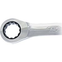 Non-Reversing Ratcheting Combination Wrench Cam Industrial