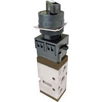 Valve Selector, 116 PSI Cam Industrial
