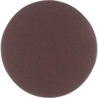 Disque en toile Stikit, 5" dia., Grain P220, Oxyde d'aluminium Cam Industrial