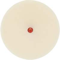 Disque pour enlever les bandes et les adh&eacute;sifs pour moulures Scotch-Brite, 4" dia. Cam Industrial
