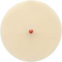 Disque Scotch-Brite 7502 pour retrait de colle et de bandes de moulage, 6" dia. Cam Industrial