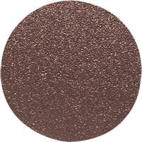 Disque de ponçage pour le bois, 12" dia., Grain 60 Cam Industrial