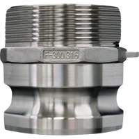 Cam & Groove Coupling, Stainless Steel, Type F, 3/4", Male NPT, 250 PSI Cam Industrial