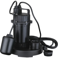 Thermoplastic Submersible Sump Pump, 2560 GPH, 115 V, 4.6 A, 1/3 HP Cam Industrial