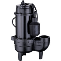 Cast Iron Sewage Pump, 120 V, 9.5 A, 6000 GPH, 1/2 HP Cam Industrial
