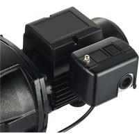 Dual Voltage Cast Iron Shallow Well Jet Pump, 115 V/230 V, 1100 GPH, 1 HP DC853 | Cam Industrial