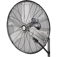 Oscillating Wall Fan, Industrial, 2 Speed, 30" Diameter Cam Industrial