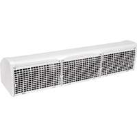 Air Curtain with Remote Control, 2 Speeds EB290 | Cam Industrial