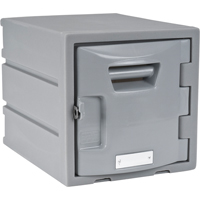 Locker, 12" x 15" x 12", Grey, Assembled Cam Industrial