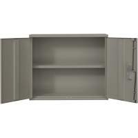 Wall Mounted Cabinet, Steel, 2 Shelves, 30" H x 36" W x 12" D, Grey Cam Industrial