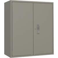 Lo-Boy Storage Cabinet, Steel, 2 Shelves, 40" H x 36" W x 18" D, Grey Cam Industrial