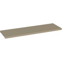 Additional Shelf for 94 Series Cabinets, 36" x 18", 150 lbs. Capacity, Steel, Beige Cam Industrial