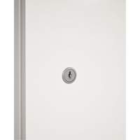 Cabinet Lock & Keys Cam Industrial